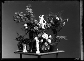 På kuvertet står följande information sammanställd vid museets första genomgång av materialet: Fotograf Angerlina Dahlgrens blommor.