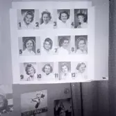 Fotografier på tolv kandiderande Ölandslucior.