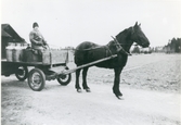 Kolbäck sn, Amsta.
Mjölkutkörning från Amsta gård, slutet av 1940-talet.