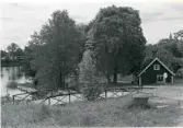 Surahammar sn.
Strömsholmsholms kanal, 1984.