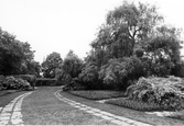 Gångstråk i stadsparken, 1970-tal