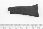 FORNFYND TRÄFRAGMENT