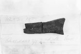 FORNFYND TRÄFRAGMENT