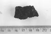FORNFYND, FRAGMENT