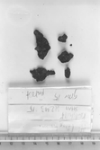 FORNFYND, FRAGMENT