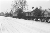 Kvarteret Skogsriskan, 1981