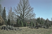 Gravrösen vid Hjortsberga gravfält, 1980-tal