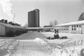 HUS OCH SKULPTUR