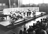 Örebro kammarorkester medverkar i musik vid Siljan, 1976-07-03