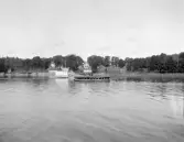 Stjärnorp från Roxen