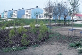 Träd- och buskplantering i Ladugårdsängen, 1990-tal