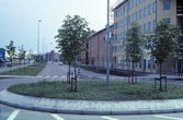 Landbotorpsallén i Ladugårdsängen, 1990-tal