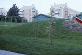 Kulle och planteringar i Ladugårdsängen, 1990-tal