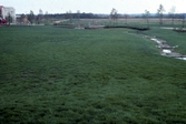 Gräsytor vid Ladugårdsängen, 1990-tal