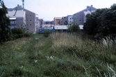Ovårdad gräsyta vid Ladugårdsängen, 1990-tal