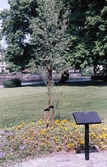 Riksträdet i Stadsparken, 1988