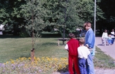Riksträdet i stadsparken, 1988