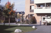 Gårdsinteriör i kvarteret Riddarsporren, 1981