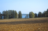 Åkermark vid Losjön, 1988