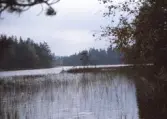 Vy över Skirasjön , 1988