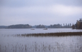 Vy över Skirasjön , 1988