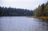 Vy över Långsjön , 1988