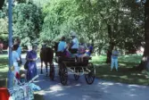 Häst och vagn i Stadsparken, 1990
