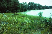 Strandparti vid Grundholmarna, 1980-tal