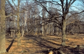 Trädgallring vid Hjälmarsberg, 1980-tal