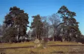Hagmark vid Hjälmarsberg , 1980-tal