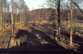 Trädgallring vid Hjälmarsberg, 1980-tal