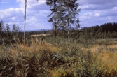 Vy från Hjälmarsberg mot Örebro, 1980-tal