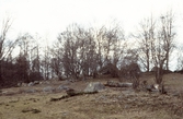 Hage vid Hjälmarsberg, 1980-tal