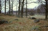 Hage och åker vid Hjälmarsberg, 1980-tal