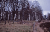 Björkhage vid Hjälmarsberg, 1980-tal
