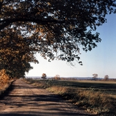 Landsväg i Karlslund, 1970-tal