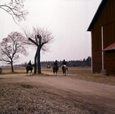 Ridande trio, 1970-tal