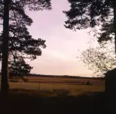 Åker i Karlslund, oktober 1971