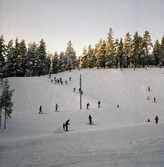 Liten skidbacke i Karlslund, 1970-tal