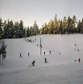 Liten skidbacke i Karlslund, 1970-tal