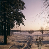 Vinterlandskap, 1970-tal