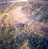 Flygfoto över Karlslundsskogen, oktober 1969