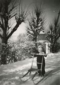 Vinter i Lackarebäck, Mölndal, på 1950-talet. Jan Erik Wäne åker sparkstötting i snön.