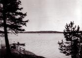 Trälhavet