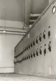 Elcentralen i källaren på Göteborgs Jästfabrik i Krokslätt, Mölndal, år 1972-1973.
