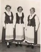 Österåkersdräkten