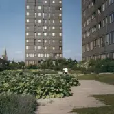 Krämarens takterass, 1960-tal