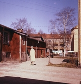 Trähus på söder, 1960-tal