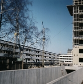 Byggnation på Tunnbindargränd, 1970-tal