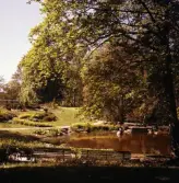 Stadsparken, 1960-tal